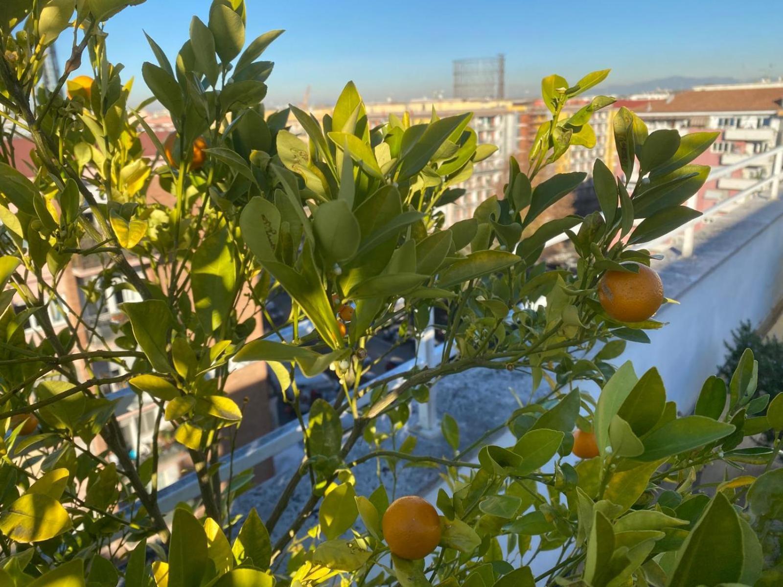Appartamento Ych-Elegante Attico Vicino Marconi Roma Esterno foto